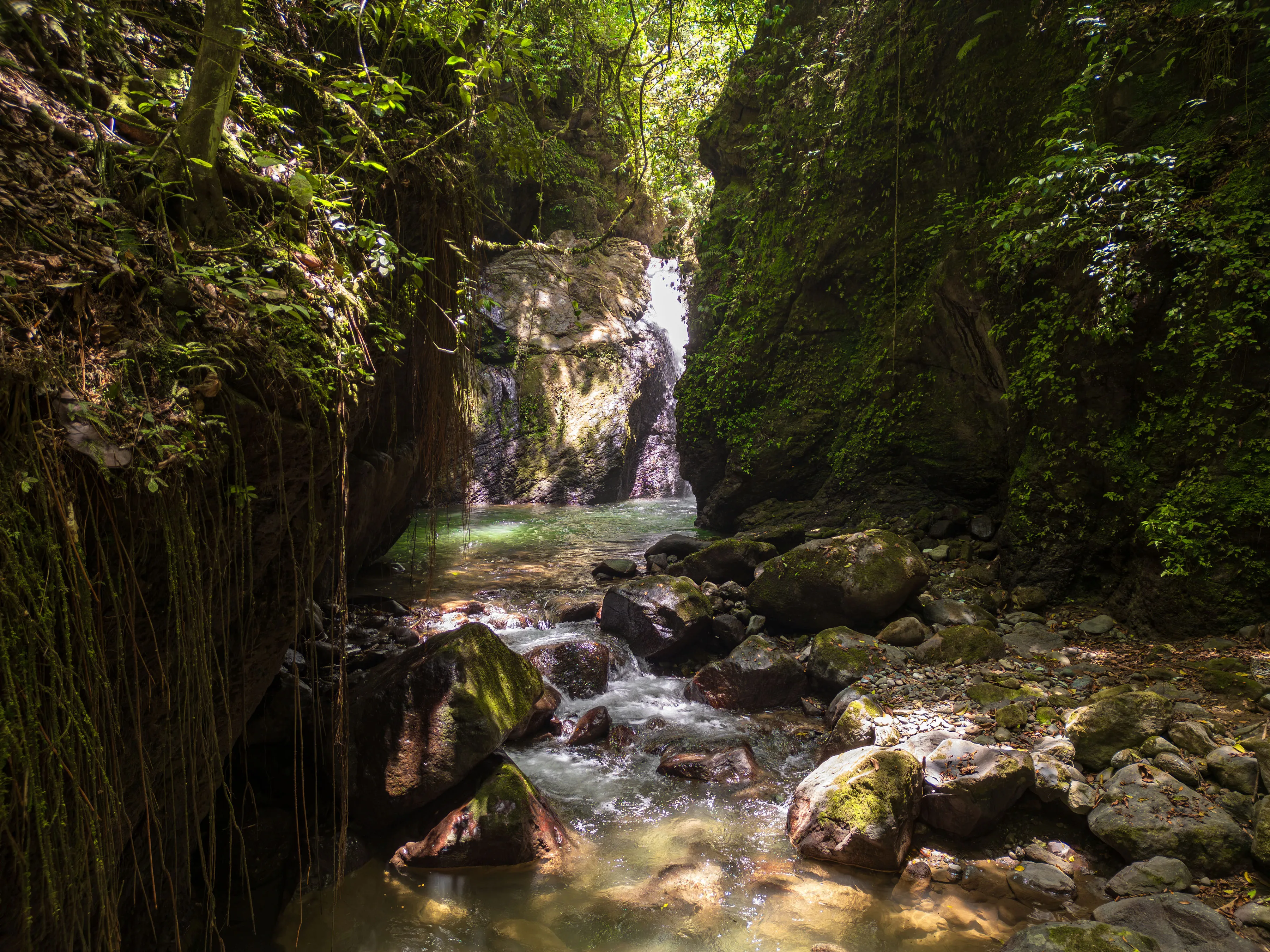Waterfall spilling into a shaded stone pool along the forest trail near the property