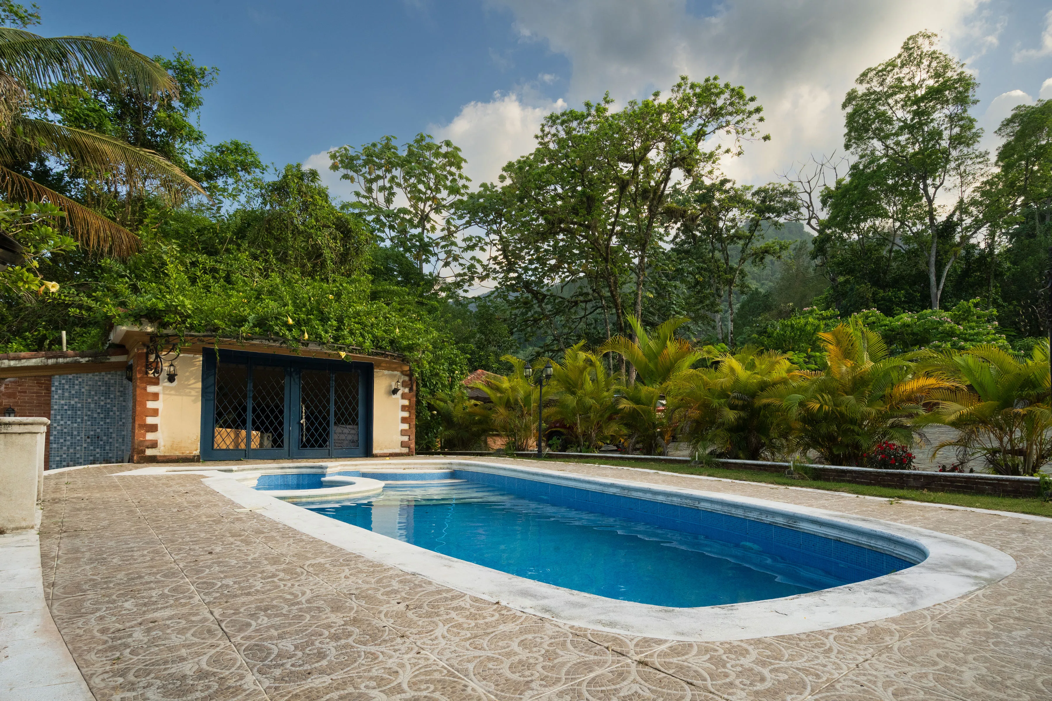 Swimming pool with a raised spa, surrounded by patterned stone decking and palm trees